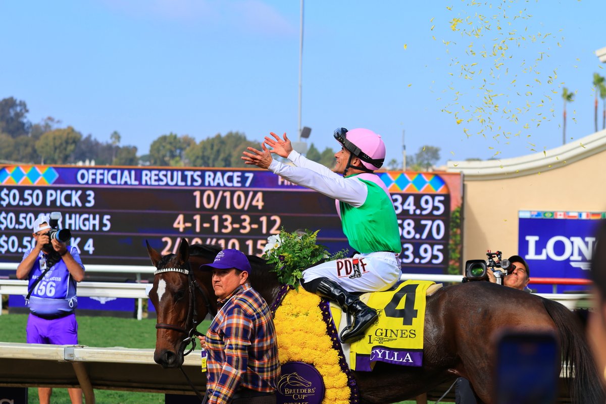 🇯🇵 坂井瑠星騎手も花吹雪でBCクラシック勝利を祝福！ 🇺🇸 花で彩
