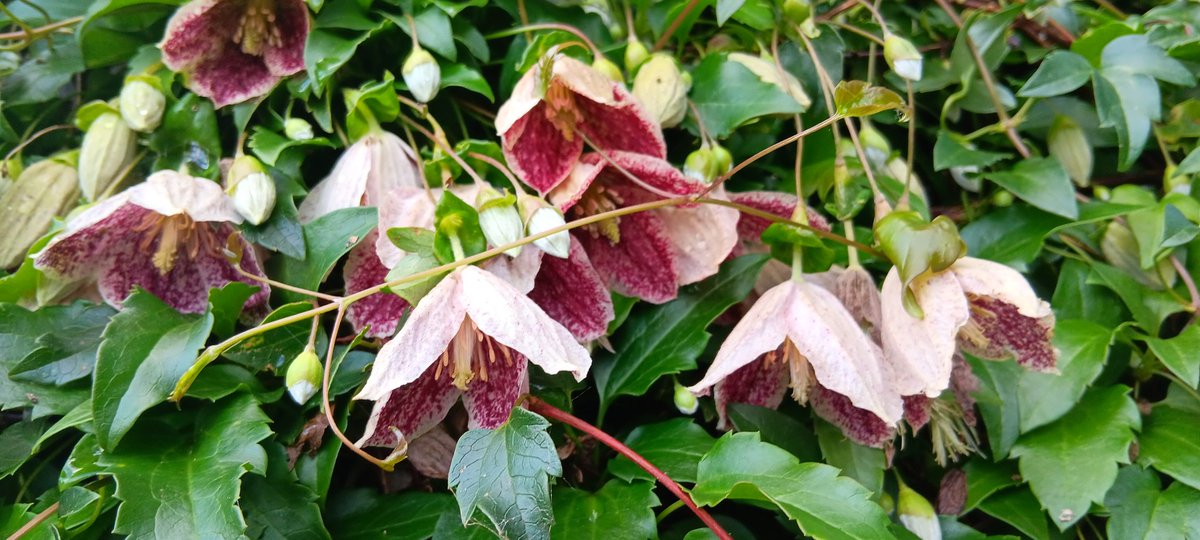 Wandering into town, making dinner, writing, playing cards,  getting to know Ella better and meeting Matti for the first time. Wonderful!