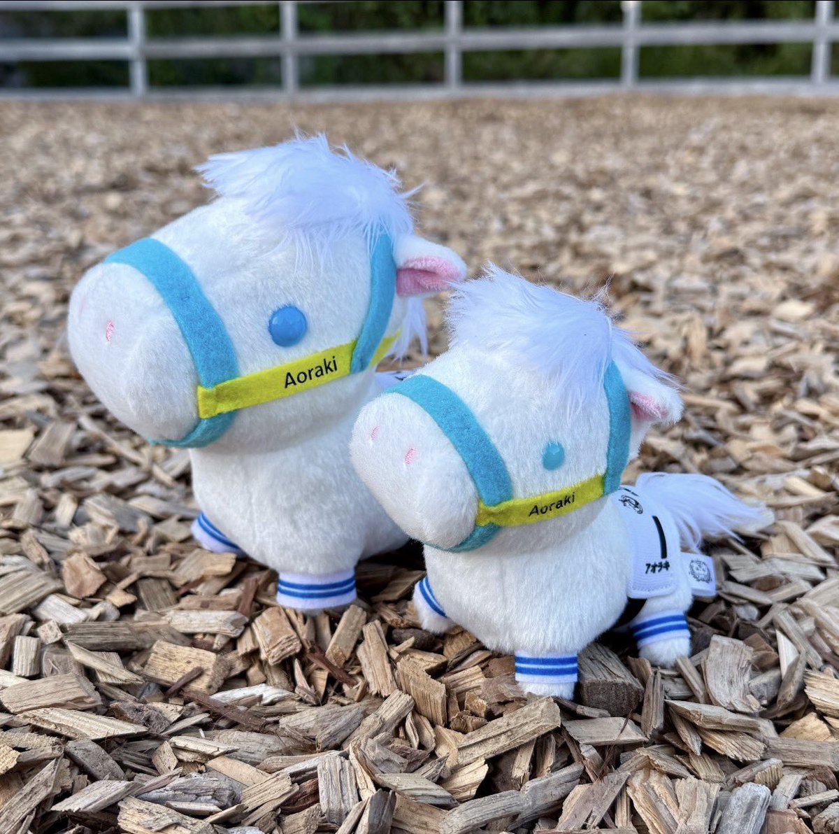 以前から欲しいと願っていたアオラキぬいぐるみ🦄💕 アイドルホース