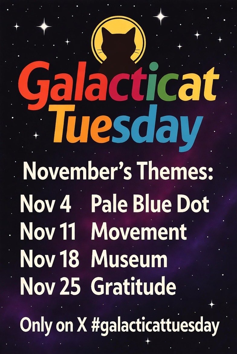 Pedro (@pedrofarq) on Twitter photo 