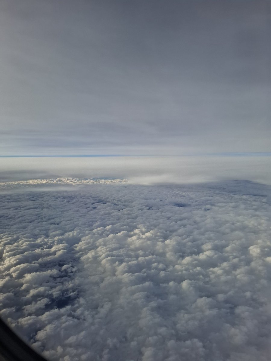 Lola 🐆 tweet media