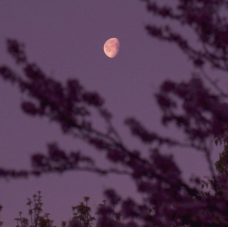 astro4pics's tweet image. 