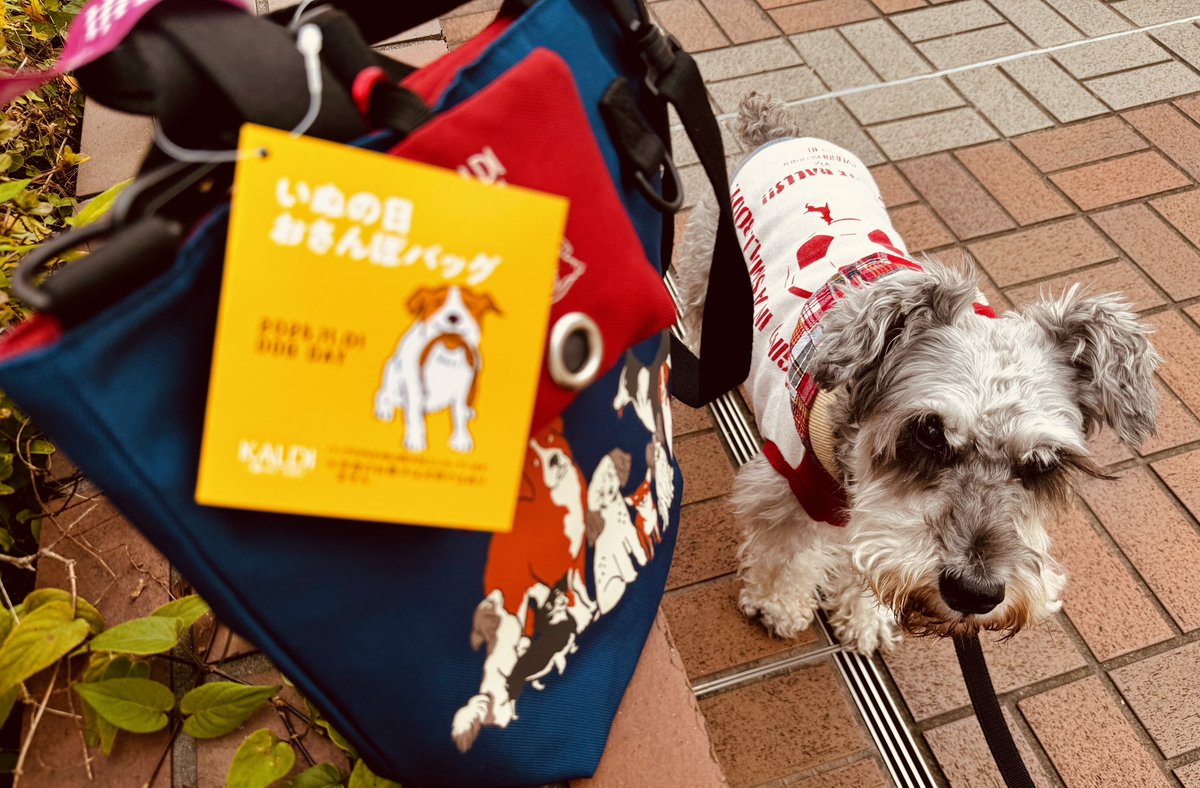 マジキャス on X