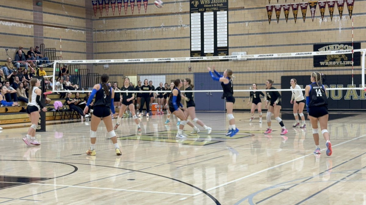 Windsor High Athletics tweet media