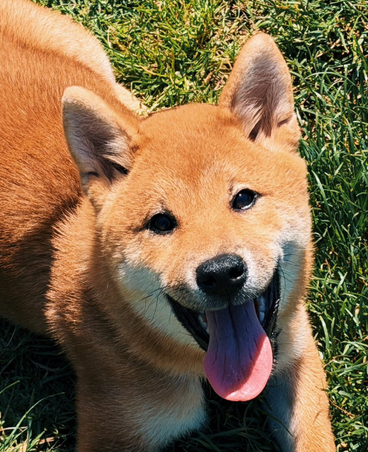 Miggie 📸 tweet media