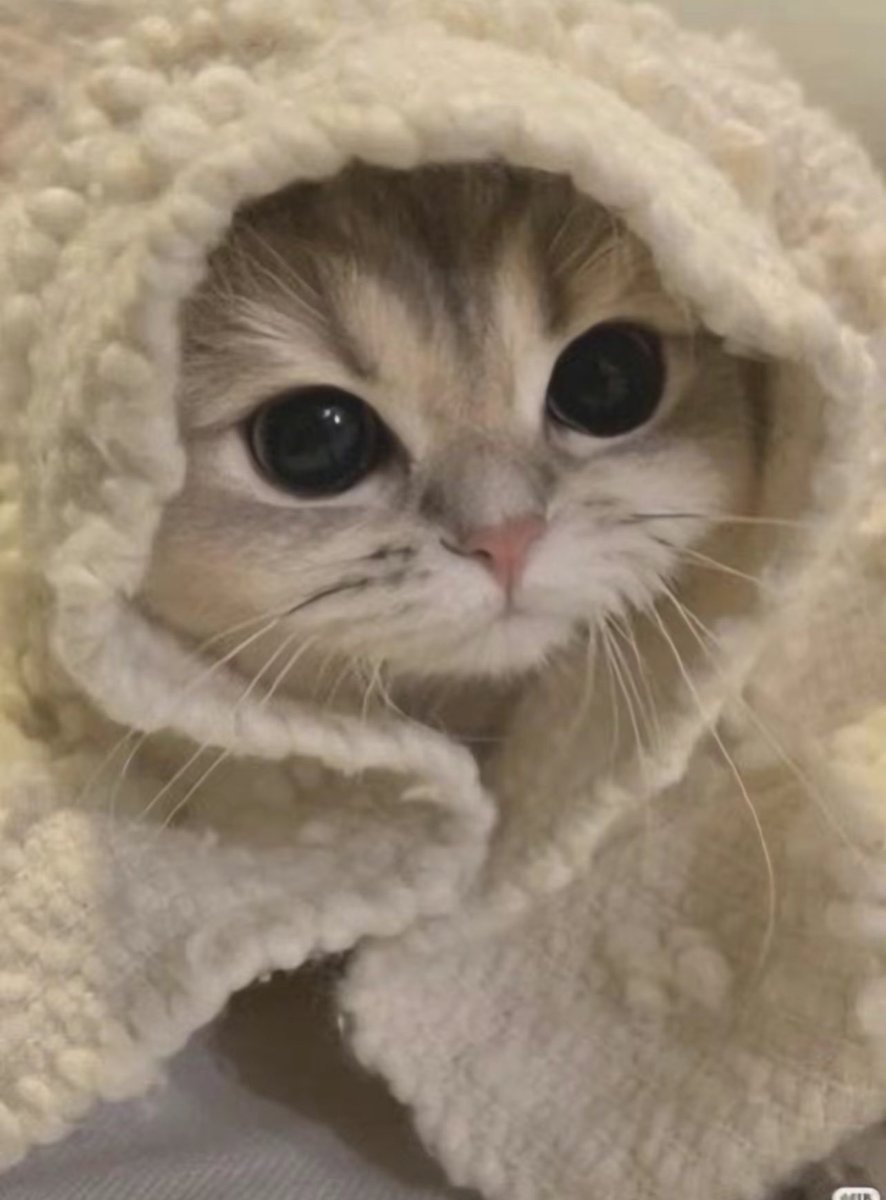 TheMysteryPl4ys tweet media