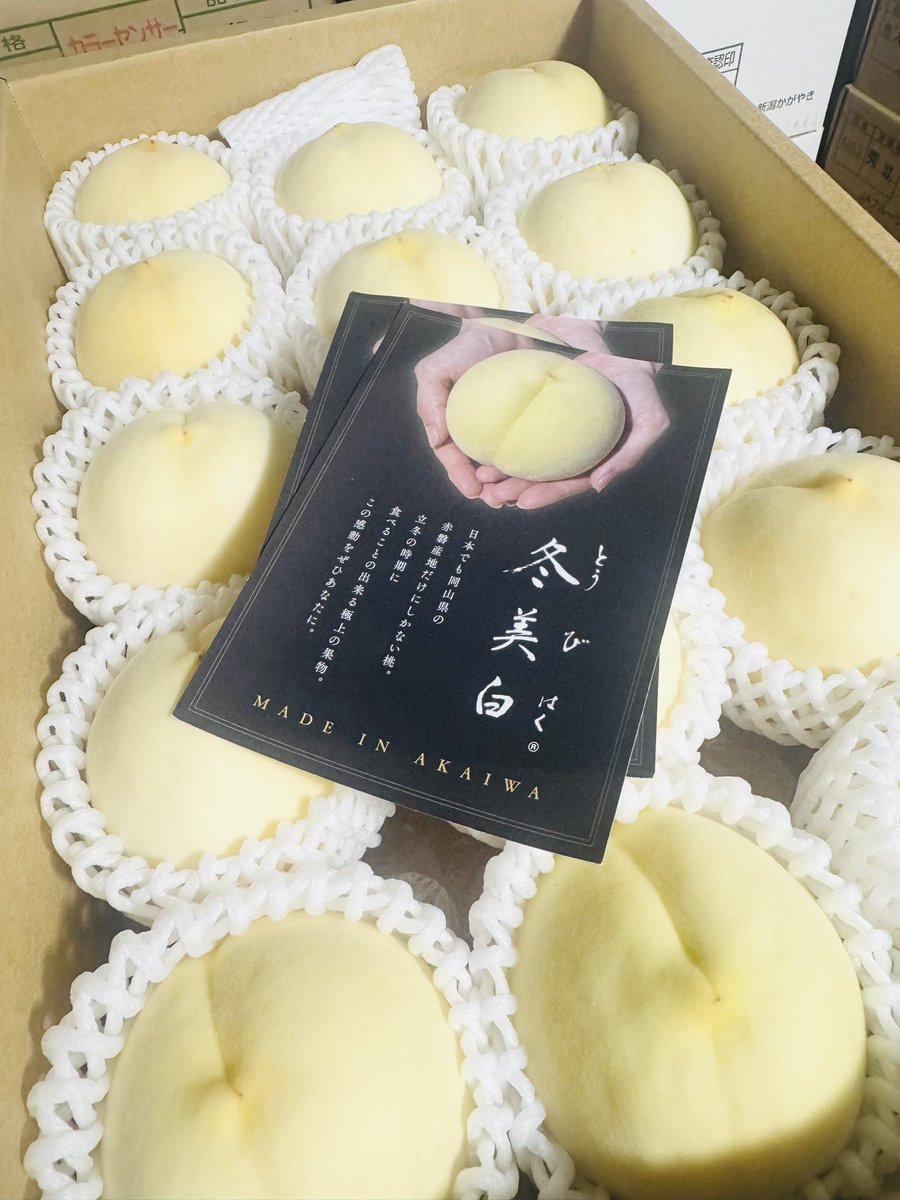 ❤️ まなっつ様❤️ ありなべ様 確認用 2021 Kawasaki ZX1400, J