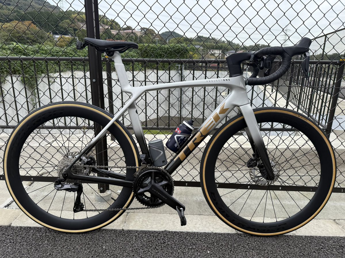 100_Colors's tweet image. 風になびくすね毛、秋ですね

#ロードバイク 
#PROJECTONE 
#TREK 
#Madone 
#MadoneSLR