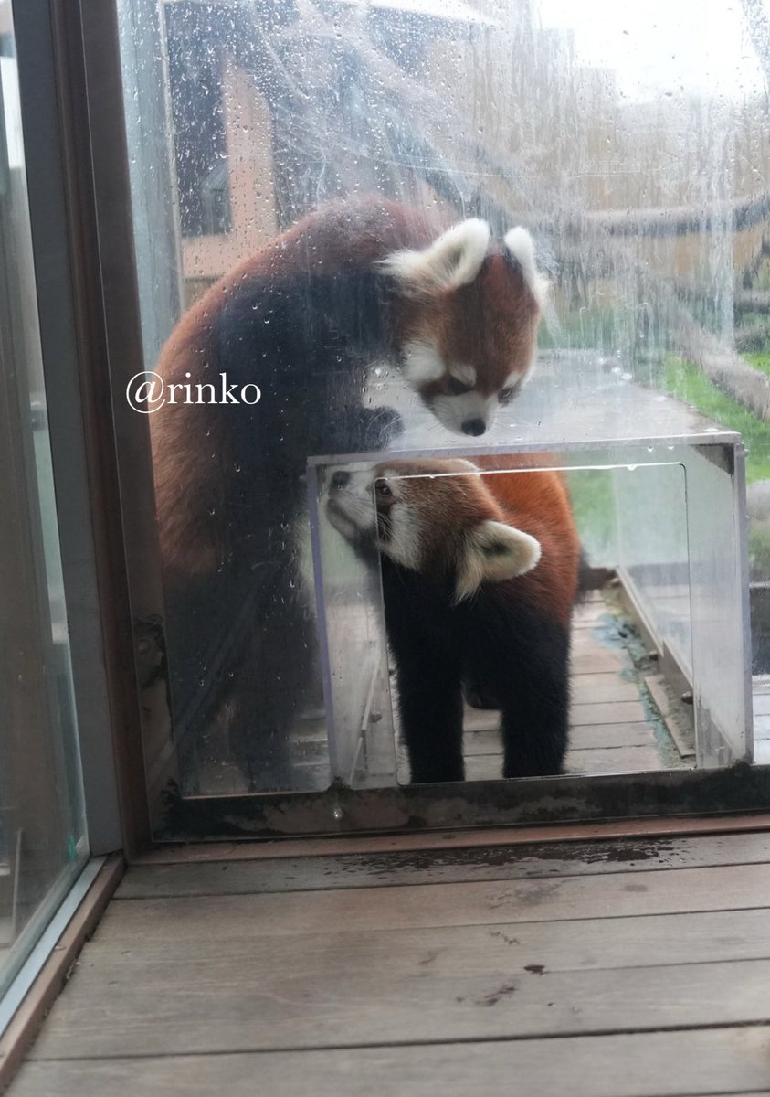 rinko様 rinko (@mii07130) / Posts / X