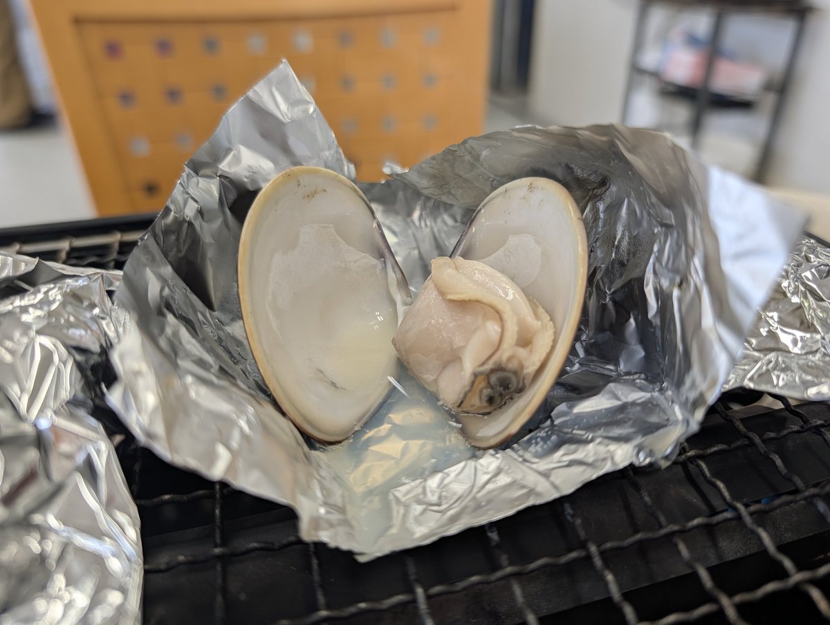 のりりん (@tiny_seed) / Posts / X