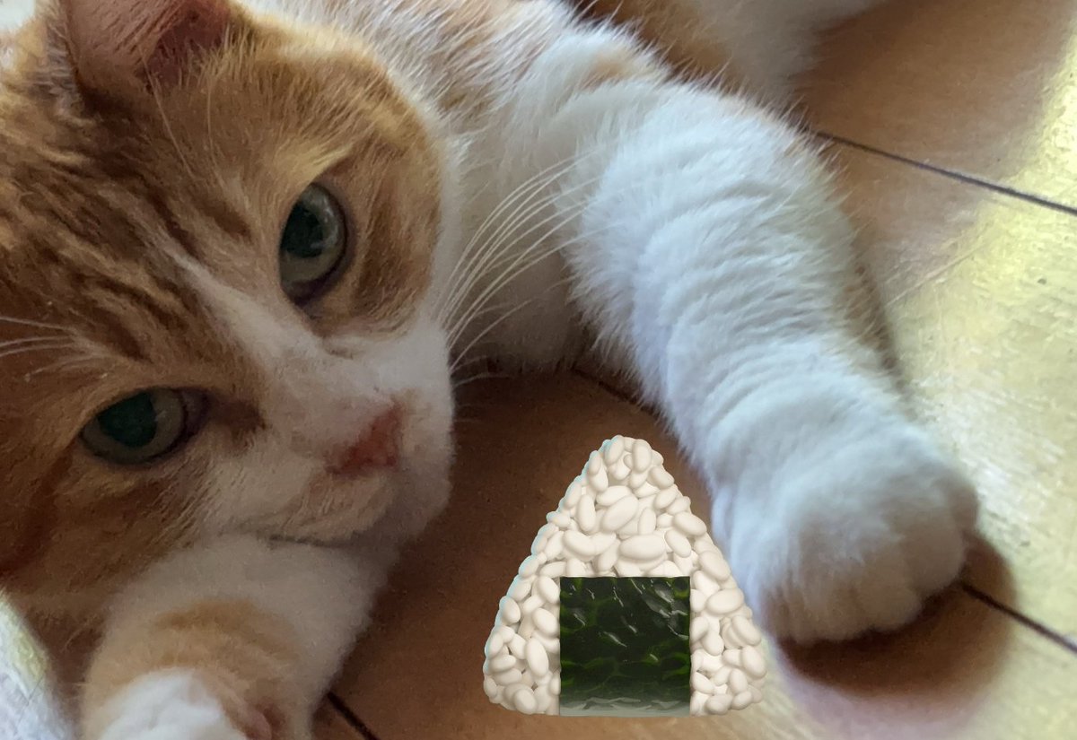 izumonster CodeCorner おにぎり猫 かなた on X