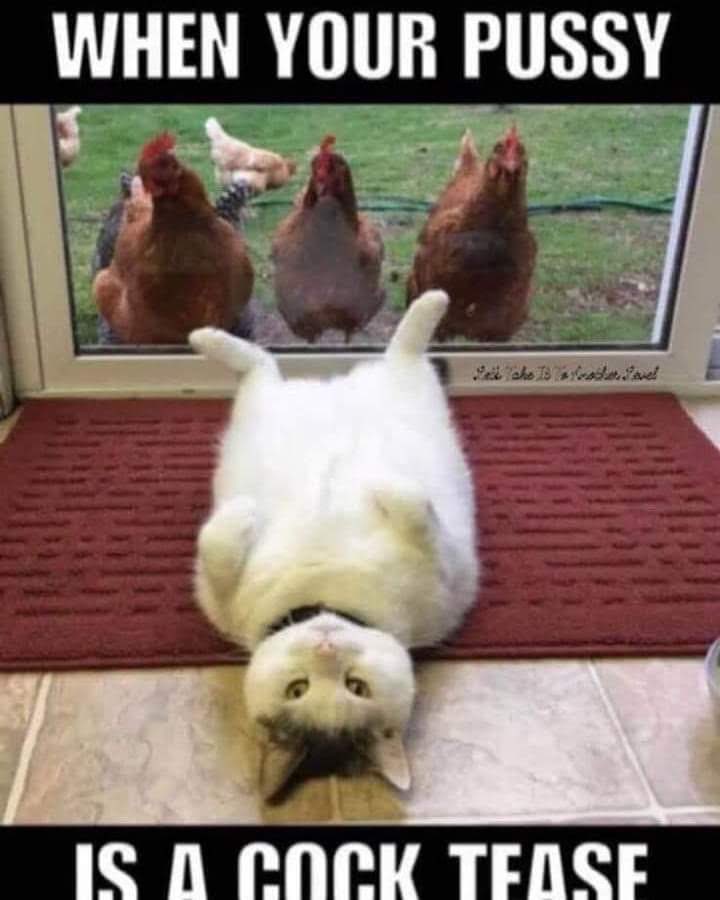 🤪🤪😂😂😂😂