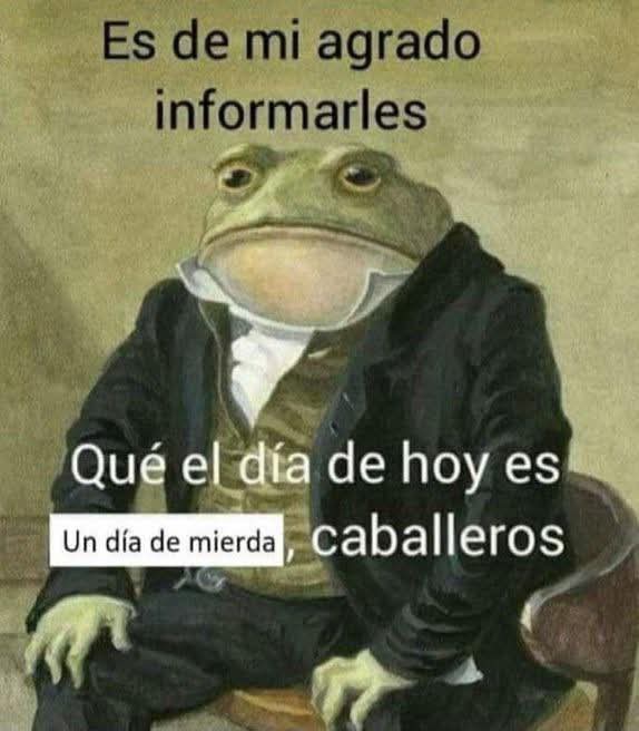 Animalitos en aprietos. tweet media