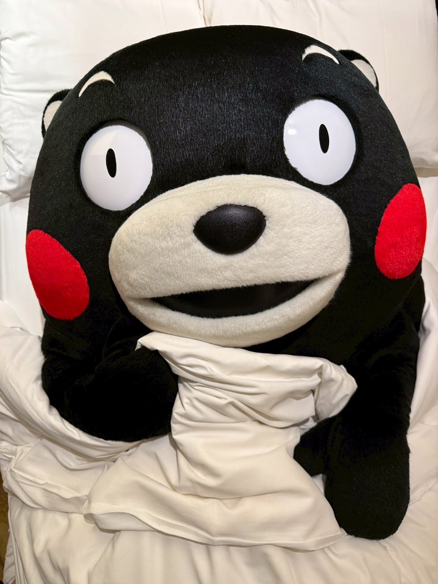 みなさんも、よか夢ば見てはいよ〜。おやくま〜☆