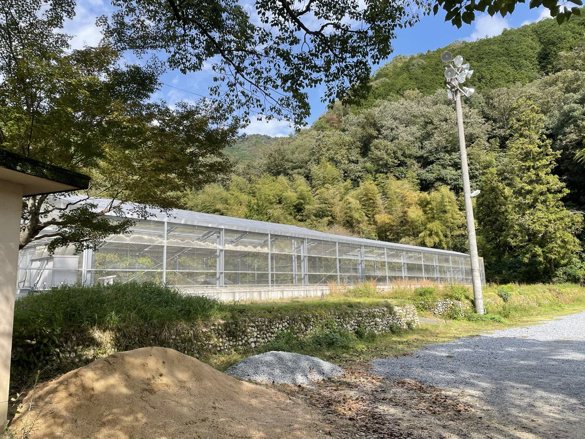 母校（中学校）久しぶりに行ってみたらすごいことになってた