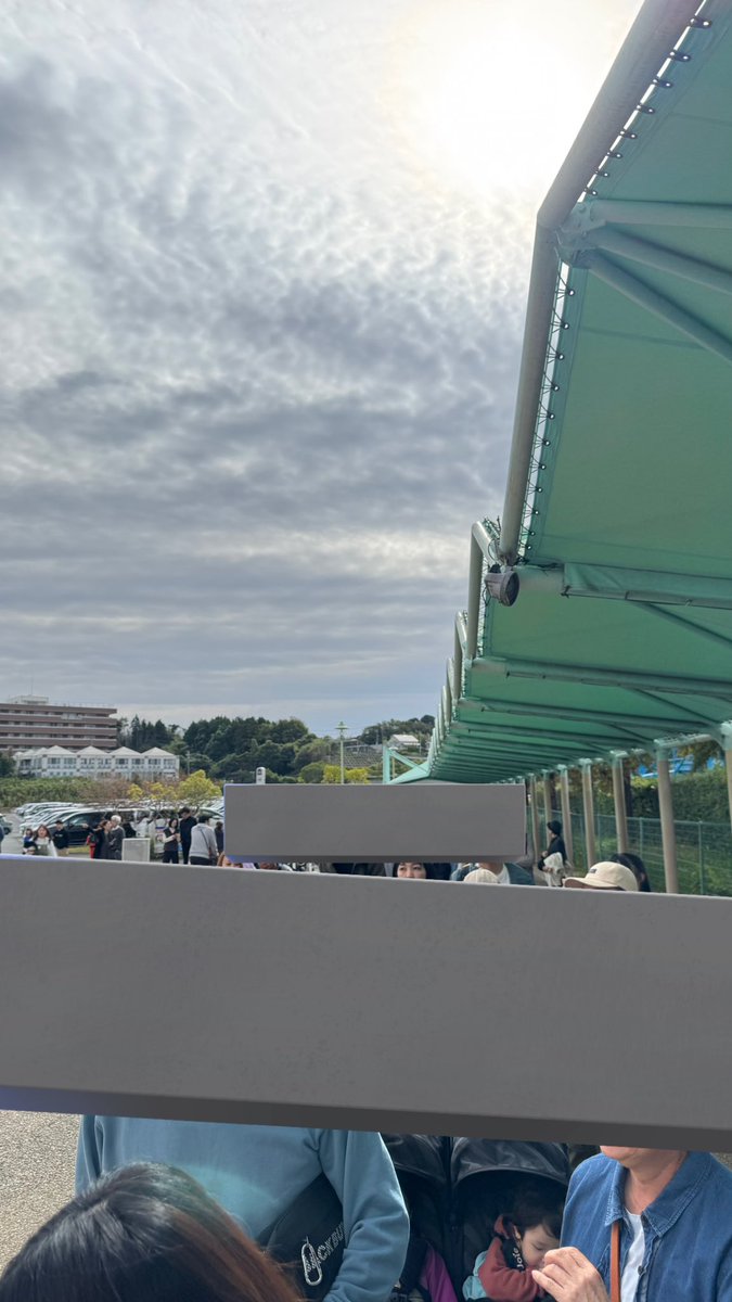 ハゲちゃびん (@vaSoxa9IGS8tojK) / Posts / X