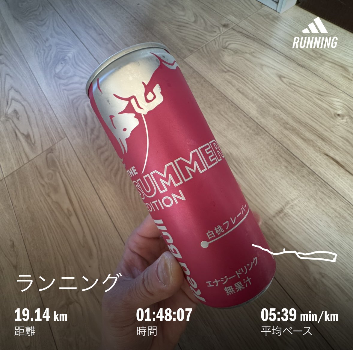 午前ラン

あれ
夏終わってんじゃん！
ひと夏中冷蔵庫で冷やしておいたのを本日補給しました

20km走ろうと意気込みましたが 疲れたので あと1km行けませんでした
疲れるまで頑張れたのでよいです