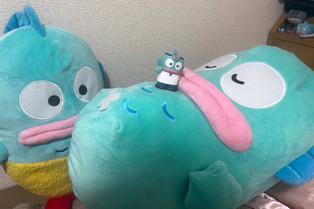 はんぎょらぶ@ (@hangyo_love) / Posts / X