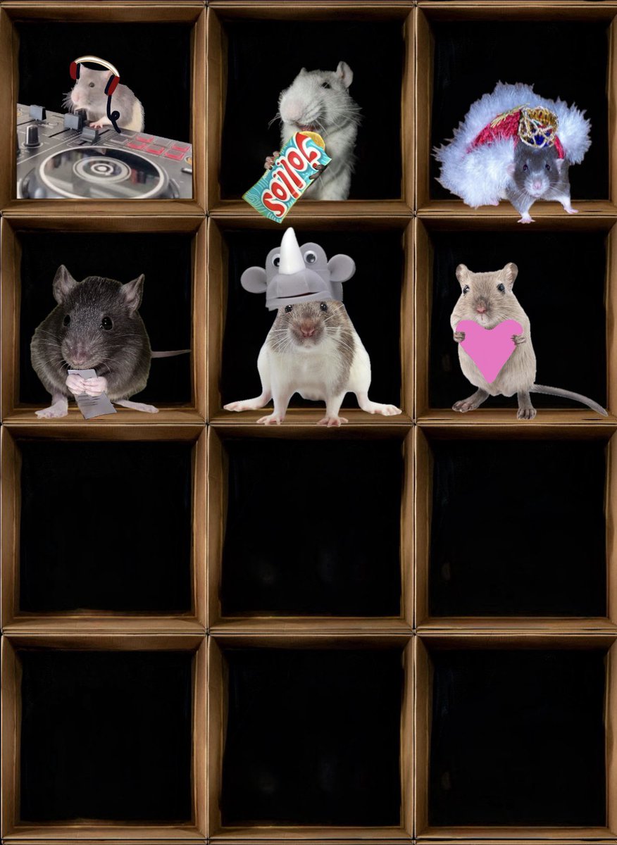 rats update, and this one’s for selah 🩷