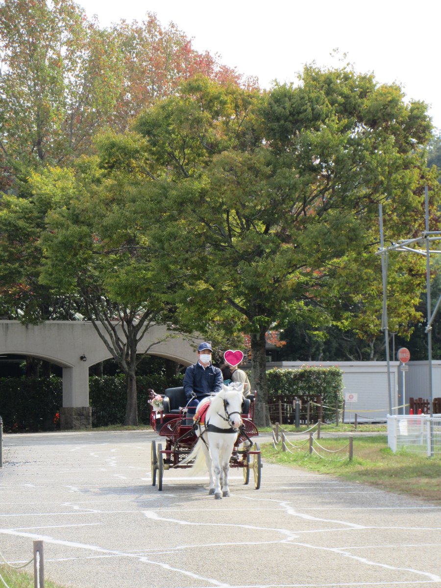 mikihlp's tweet photo. 園内の木々が🍁🍂🍃
　いろいろな色で綺麗です。

１回目のグリーティングの様子です。

ご来園いただき、ありがとうござい馬す💛

#TURFY 
#HelloKitty 
#Greeting https://t.co/pR0AlCKBYJ