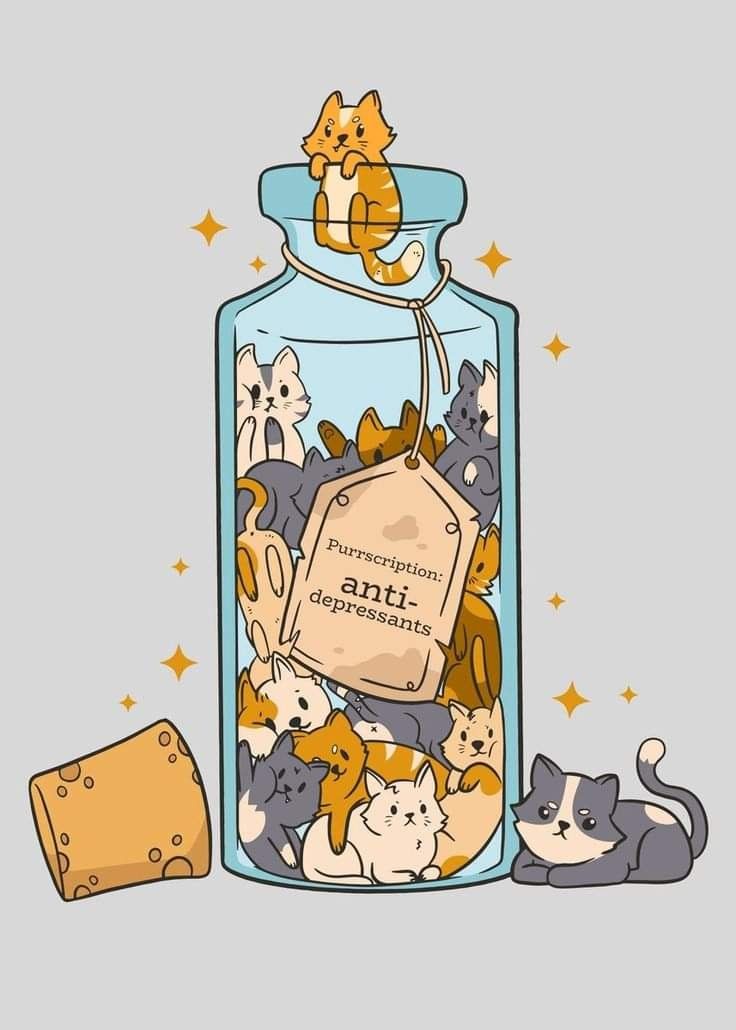 only cute things (@cutedreamvibes) on Twitter photo 