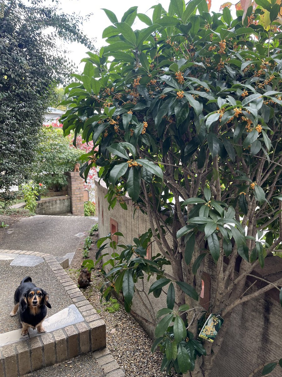 ☺︎様 7011 ナミヌイ on X