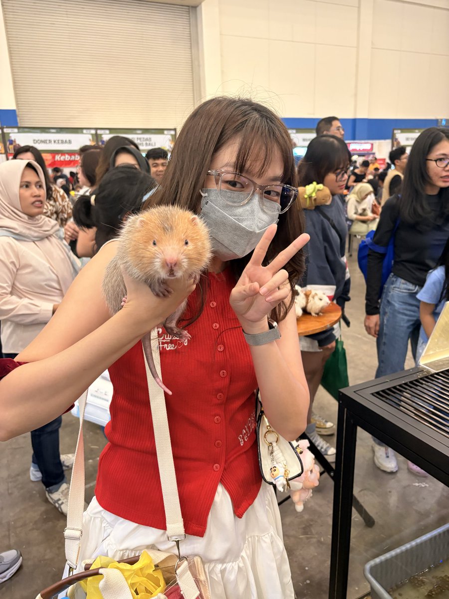 Storyjelli's tweet photo. Ini bamboo rat dari China. Lucu bangettt. Yang bikin salfok, matanya juga kecilll https://t.co/nn5PZsToj9