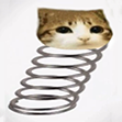 risingtorise's tweet photo. 5M boing burnt
https://t.co/jAWhgWnL63

coiling for dat next boing https://t.co/u2ar6OwEUg