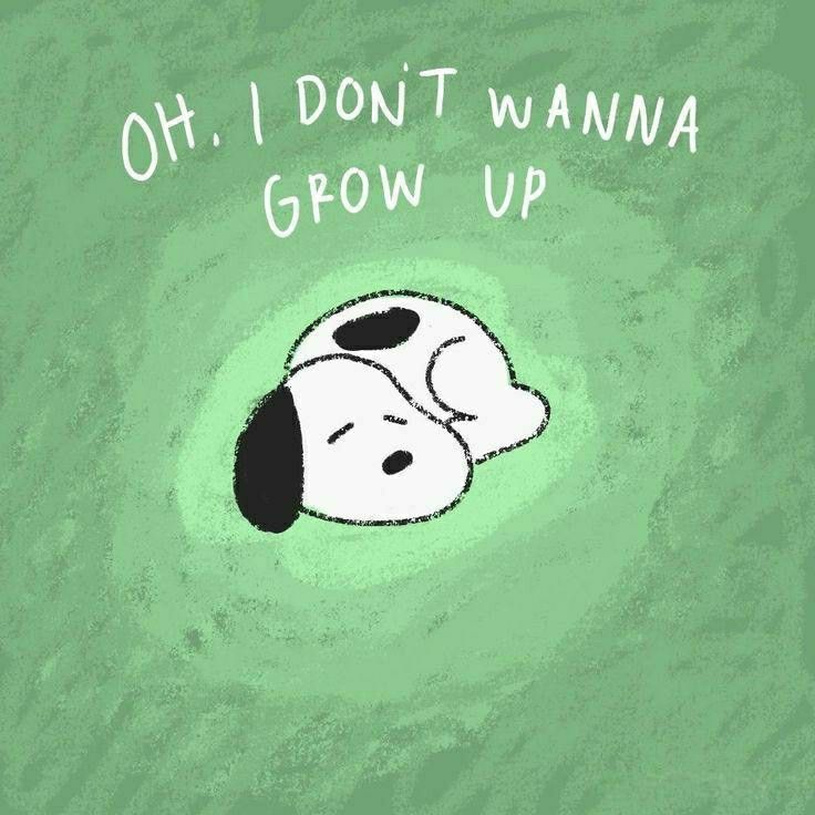 cutedreamvibes's tweet image. 