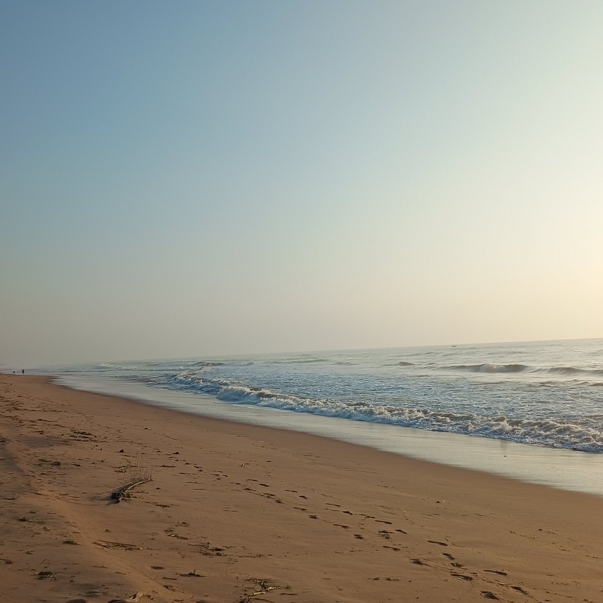 aravindpsuresh's tweet image. Had a great time presenting my poster at #ISEB6. Amazing discussions, good food and the perfect beach backdrop!
Thanks to @nbodhi84 and the team for such a well-run and warm conference.