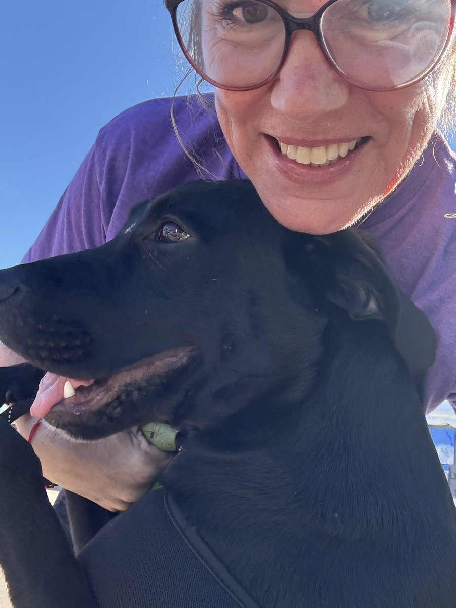 LoriThecatlady's tweet image. This love was adopted today! Stole me my ❤️. #Diego @ShelbyHumane