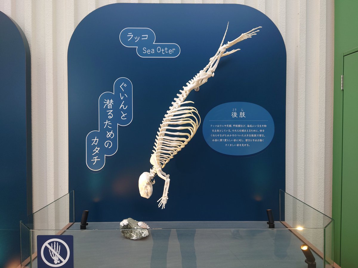 白鳥ぱんだ ねこねこぱんち (@HighDragoon) / Posts / X