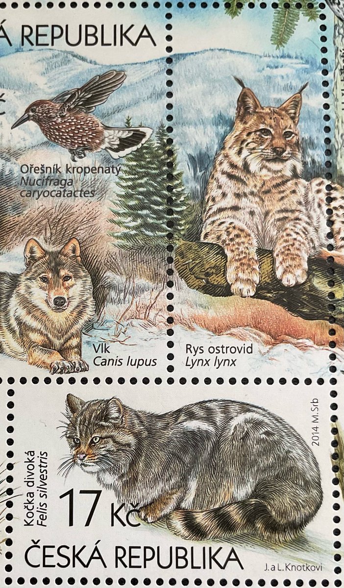 3787 外国切手 チェコスロバキア WWF 両生類動物 凹版 4種完 3787 外国