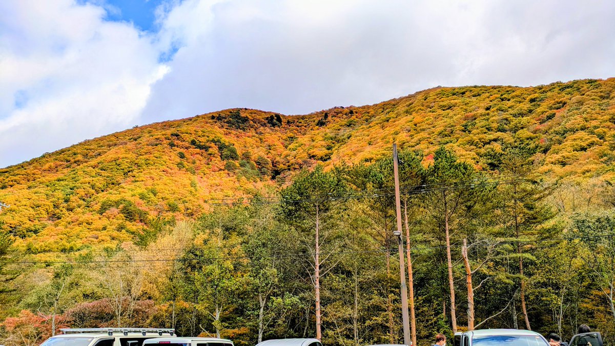 こんにちは😊

帰省を終え
東北自動車が混まない内に
此れから🐸ります🚙

本日もどうぞ
よろしくお願いいたします😌

素敵な日曜日をお過ごしください🍀
どうぞご安全に🙏
明日は少しおバイク🏍️しよう😆

道の駅会津田島
