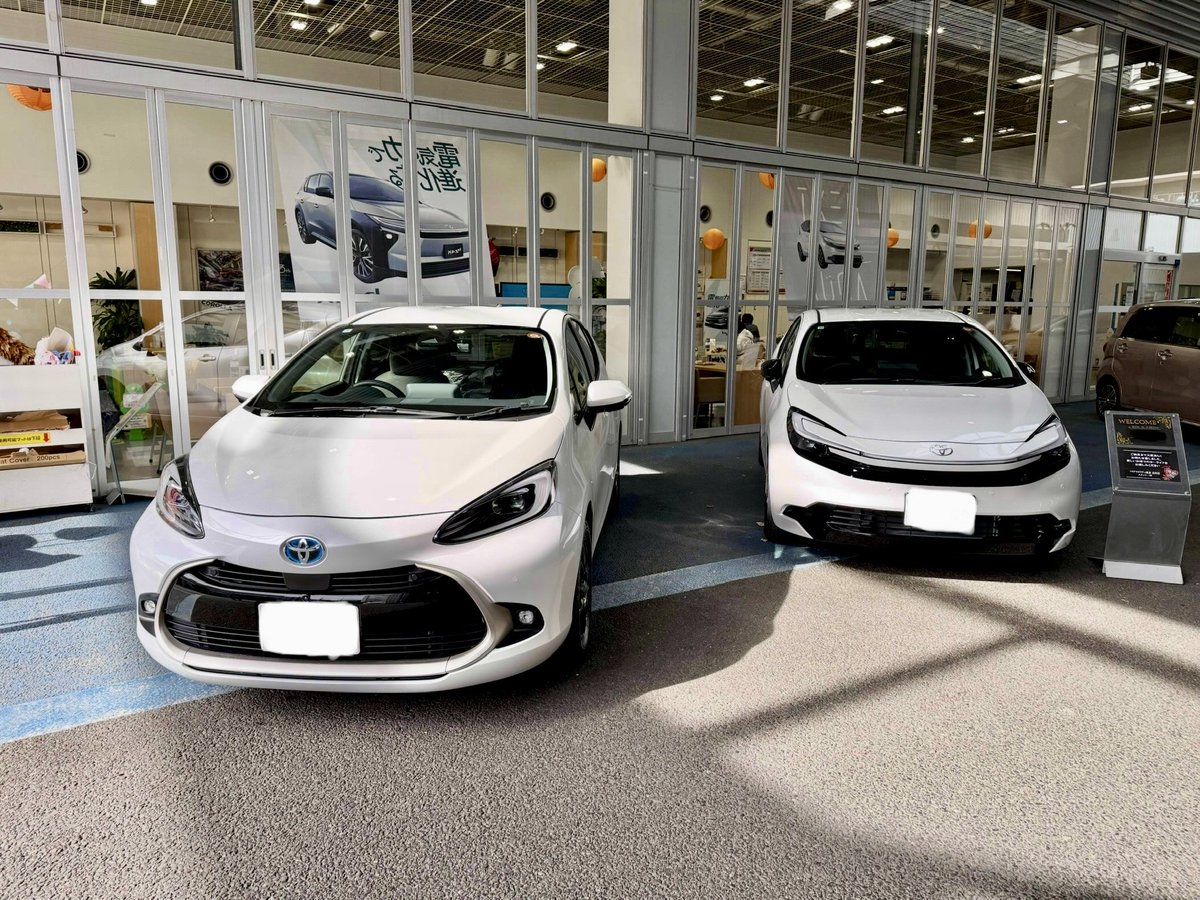 オーダーストップ中です՞߹ - ߹՞ しも on X