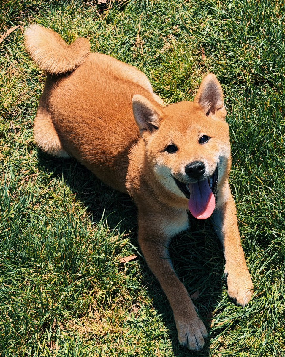 Elysa ˖ ࣪⊹𐙚 tweet media