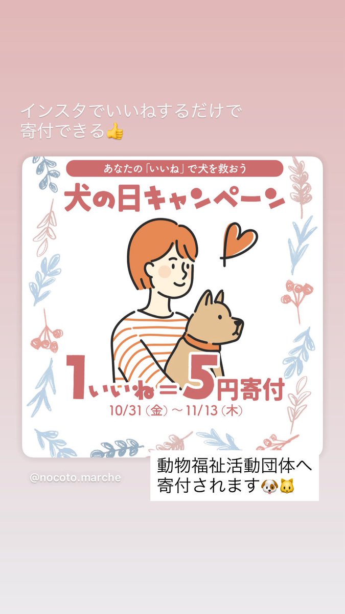ninomayu_peru's tweet image. 犬猫用セレクトショップ「のこと。マルシェ」で犬の日キャンペーン！
ぜひいいねお願いします(❁ᴗ͈ˬᴗ͈)
instagram.com/p/DQc_ch8Ekau/…