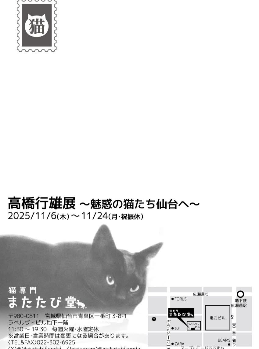 高橋行雄（？）　猫　フレーム付き サインあり　*サイズ表記更新 高橋行雄（？） 猫 フレーム付き サインあり *サイズ表記更新 高橋