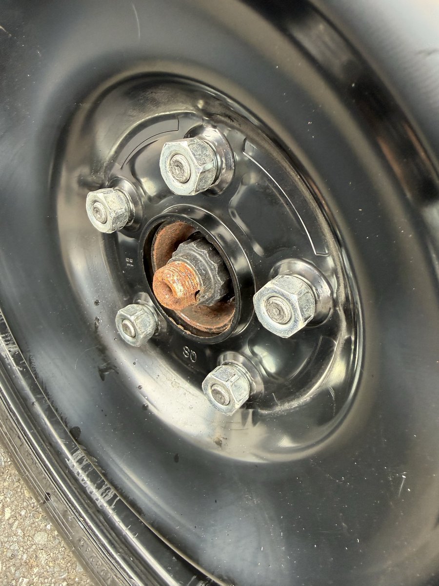 きんのじ (@v9938) / Posts / X