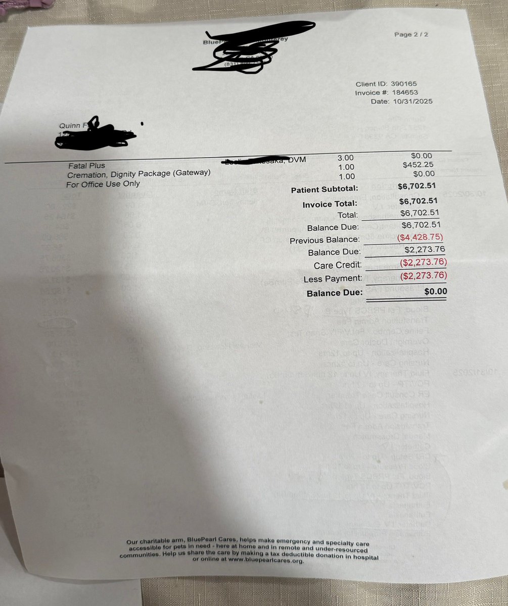 lostintay's tweet image. I&apos;ve had some oomfs reach out asking for my venmo. We tried everything we could to save penny and unfortunately it didn&apos;t work. I&apos;ll be selling some merch but if you wanted to help, my venmo is below🤍 I don&apos;t deserve the friends I have. Just the love &amp;amp; words have been enough.