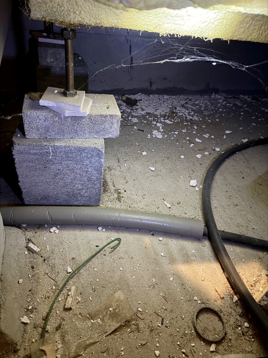 あゆゆんページ あゆゆん♪ (@ayu_littlewing) / Posts / X