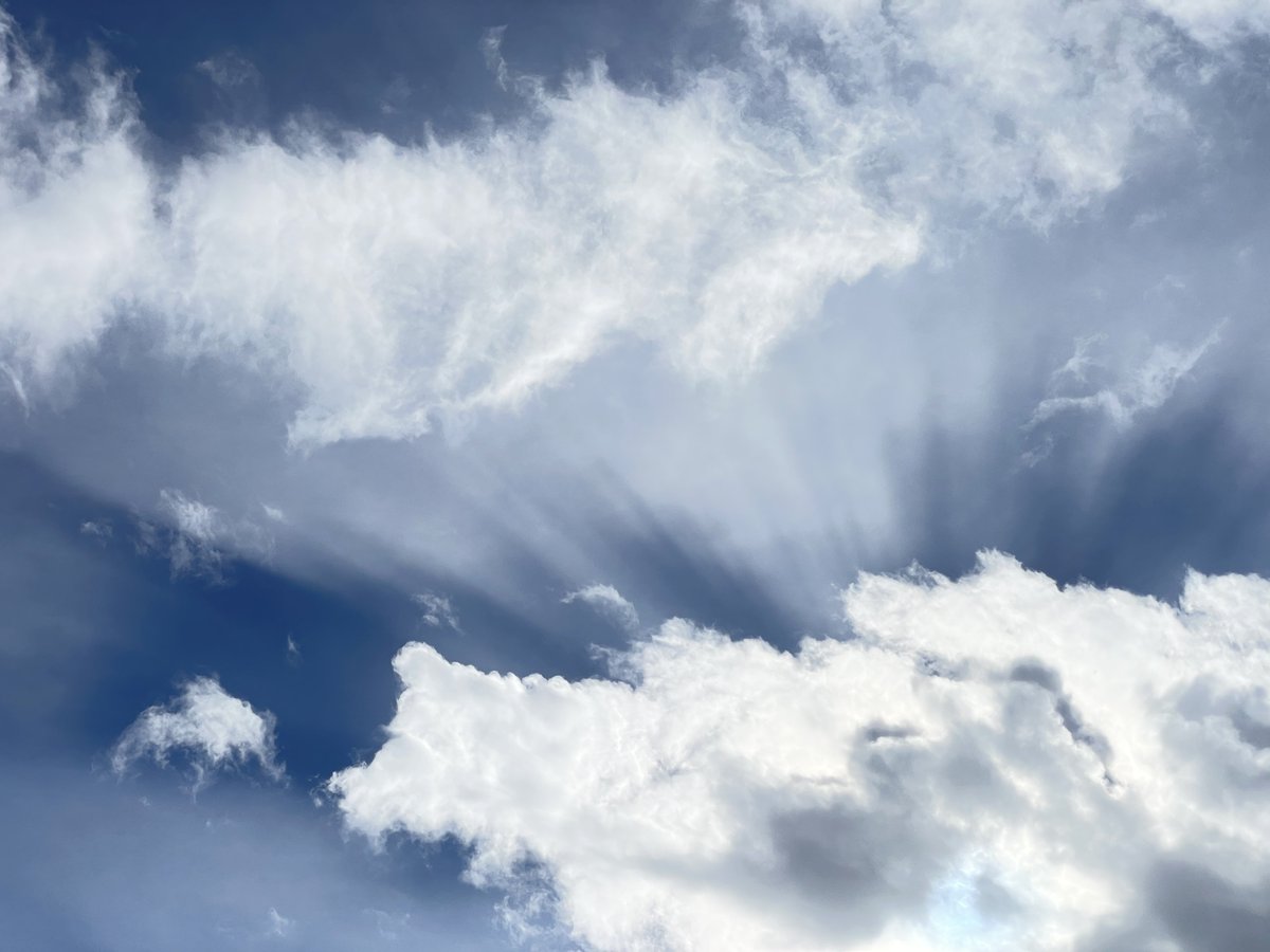 雲からの光芒がきれいです
 #halo_jp
