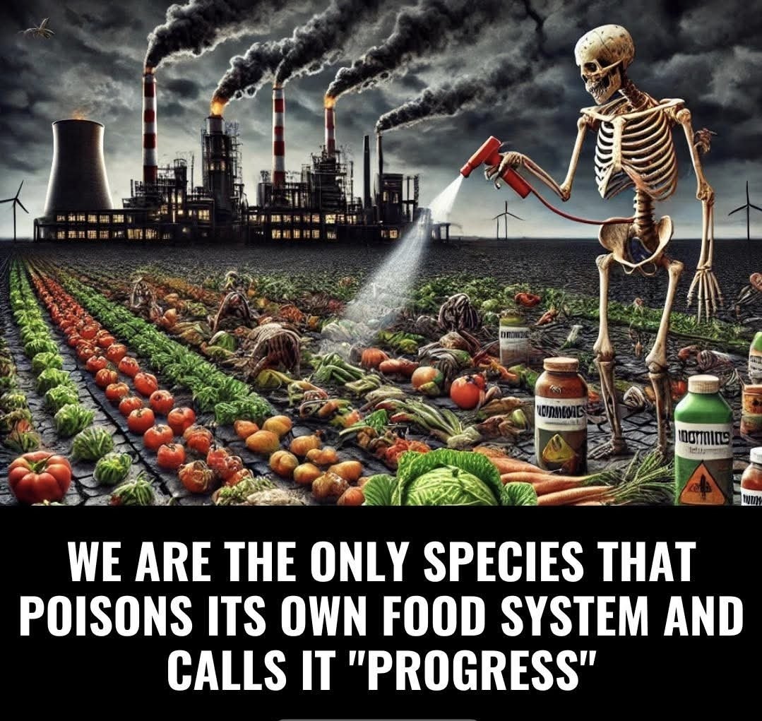 Not A Number (@myhiddenvalue) on Twitter photo 