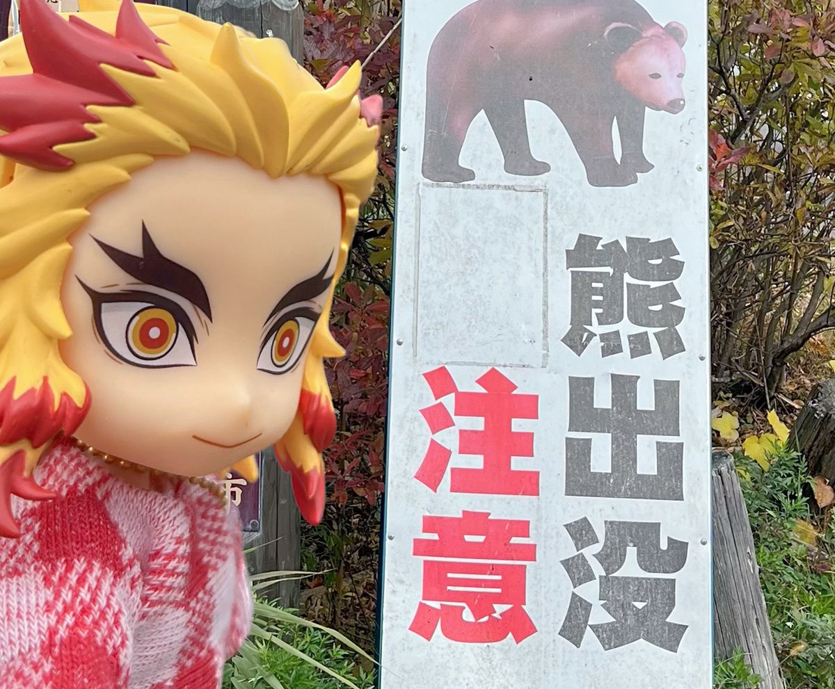 どんぐり🌰🌋 (@donguri___guri) / Posts / X