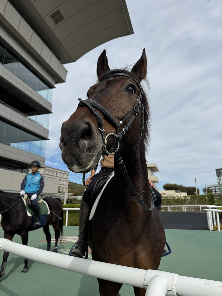 メルカリで24時間以内に売れなければ300円❗最新作✨「蒼天