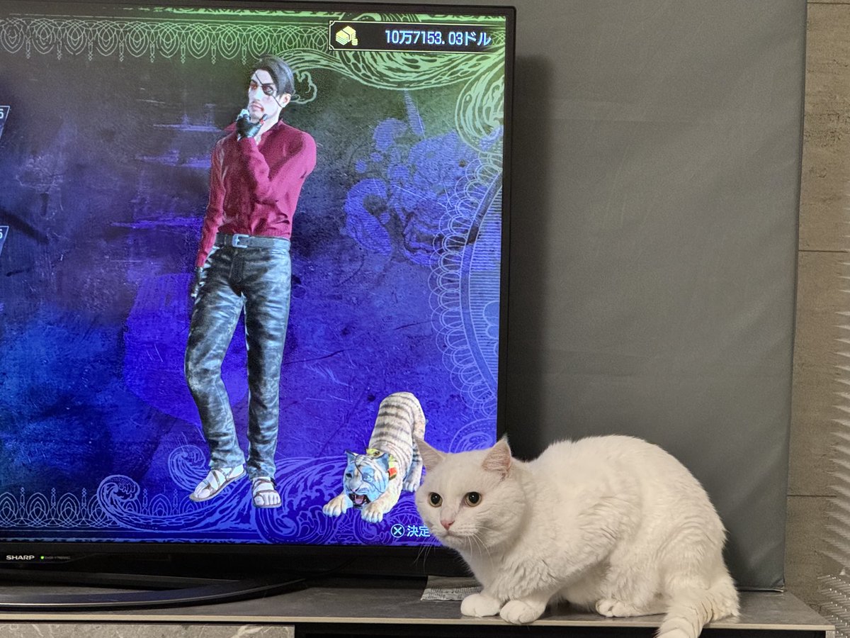 ハク様 (@hakusama0906) / Posts / X