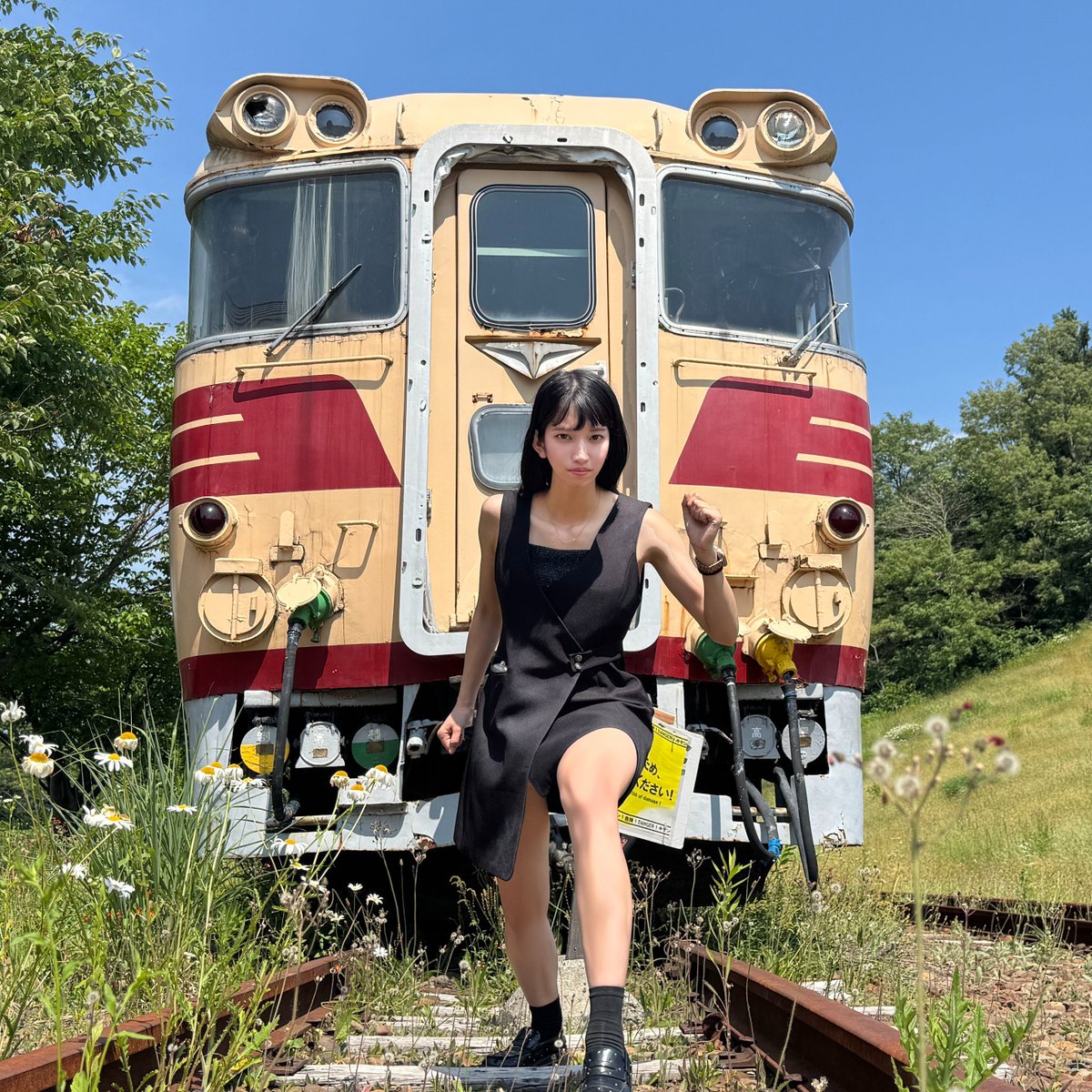 あんず☆〃 あんずチャンネル（本もの） on X