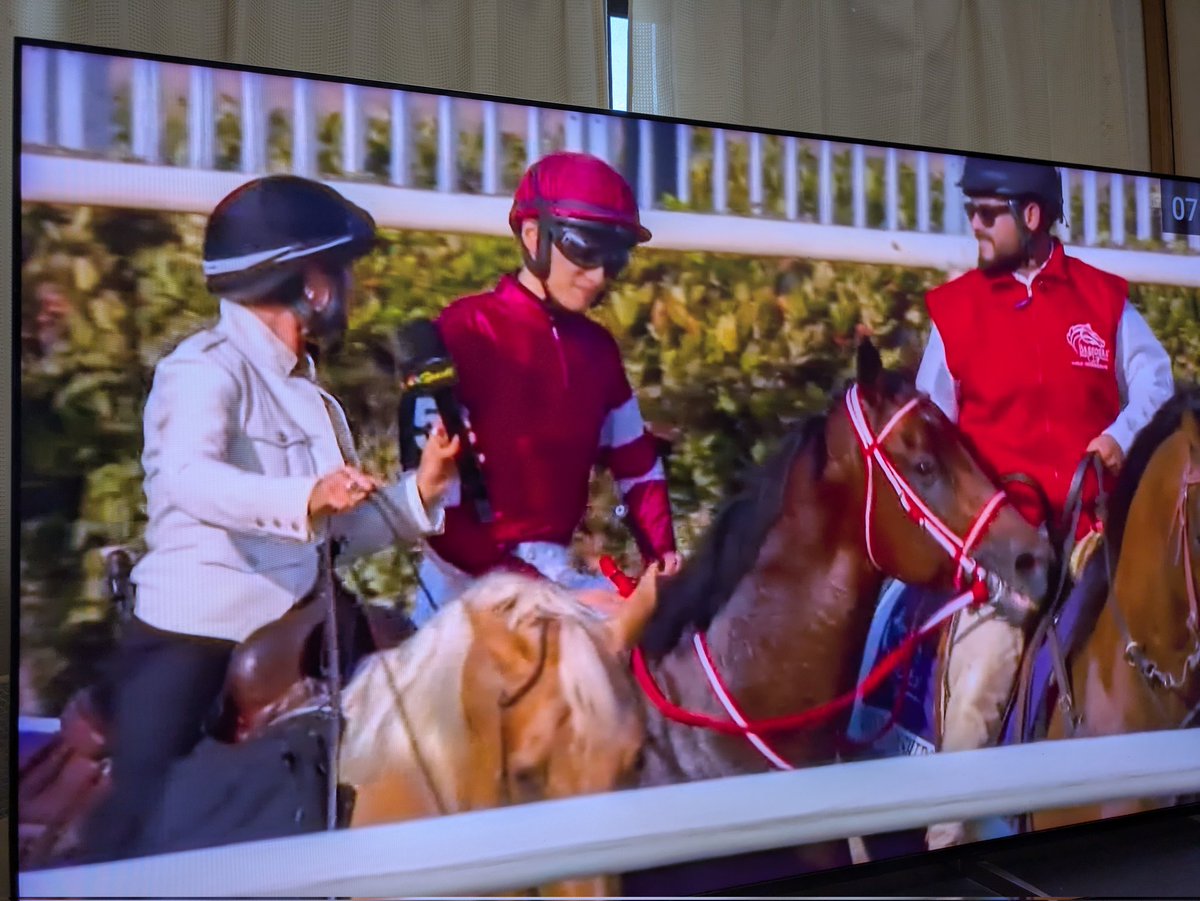 競馬　シャフリヤール　クロス ジャケット 競馬 シャフリヤール クロス ジャケット 競馬 シャフリヤール