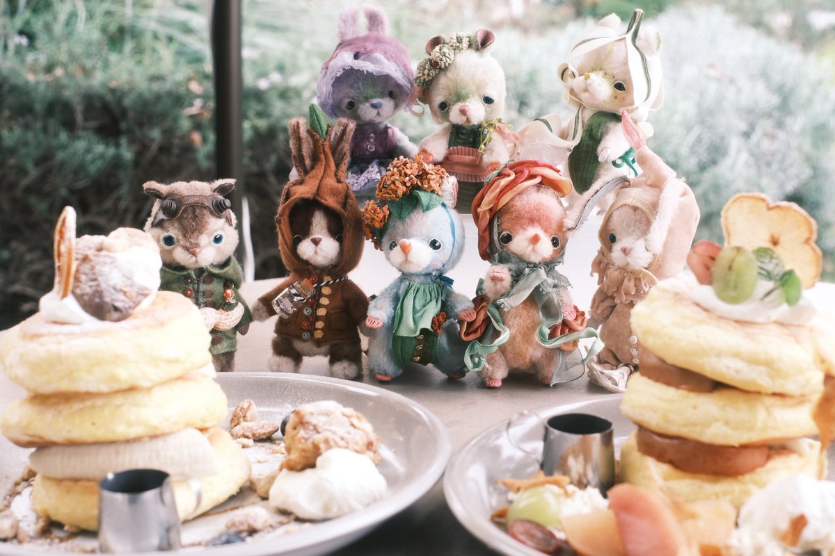 コボリサヤカ様　カモミール コボリサヤカ様 カモミール コボリサヤカ様 カモミール