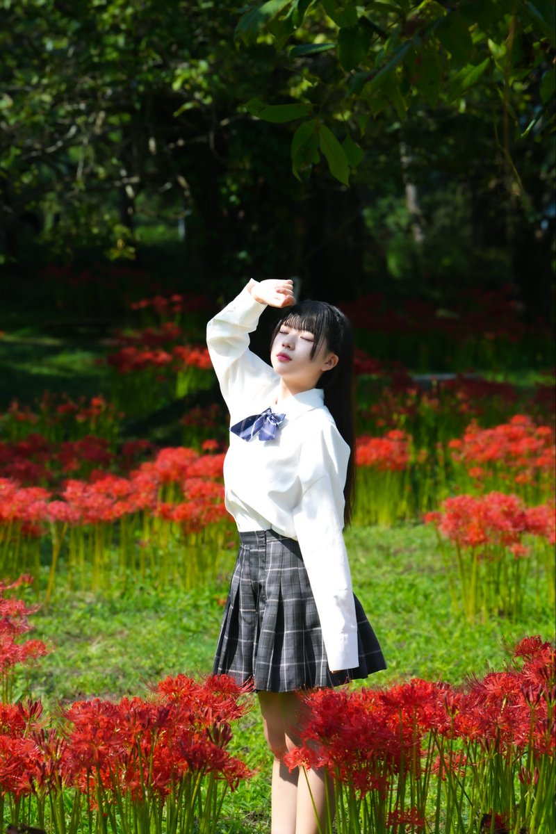 好花撮 toyokun🪽 on X